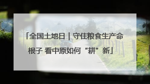全国土地日｜守住粮食生产命根子 看中原如何“耕”新