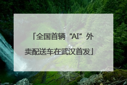 全国首辆“AI”外卖配送车在武汉首发