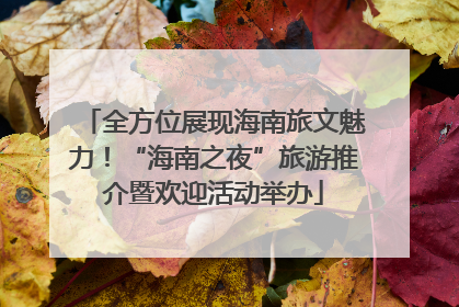 全方位展现海南旅文魅力！“海南之夜”旅游推介暨欢迎活动举办