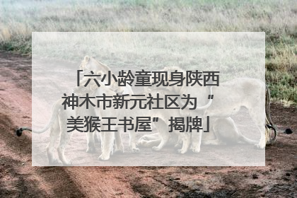 六小龄童现身陕西神木市新元社区为“美猴王书屋”揭牌