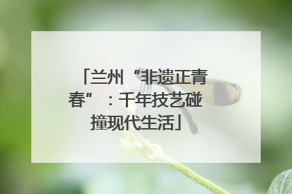 兰州“非遗正青春”：千年技艺碰撞现代生活