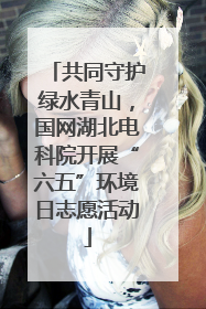 共同守护绿水青山，国网湖北电科院开展“六五”环境日志愿活动