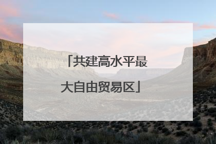 共建高水平最大自由贸易区
