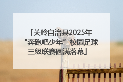 关岭自治县2025年“奔跑吧少年”校园足球三级联赛圆满落幕