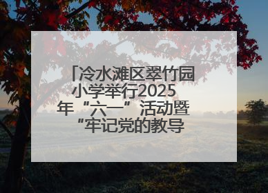 冷水滩区翠竹园小学举行2025年“六一”活动暨“牢记党的教导 争做强国少年”新队员入队仪式