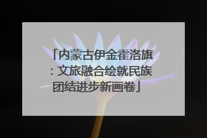 内蒙古伊金霍洛旗：文旅融合绘就民族团结进步新画卷