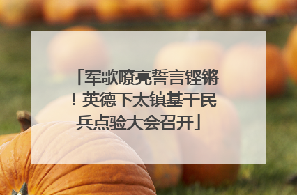 军歌嘹亮誓言铿锵！英德下太镇基干民兵点验大会召开