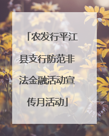 农发行平江县支行防范非法金融活动宣传月活动