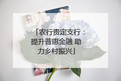 农行贵定支行：提升普惠金融 助力乡村振兴