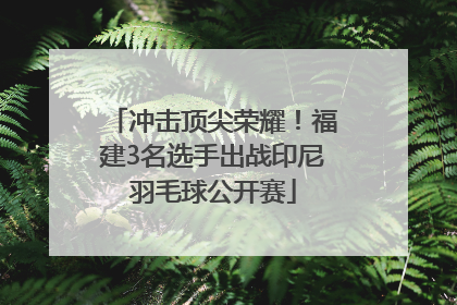 冲击顶尖荣耀！福建3名选手出战印尼羽毛球公开赛