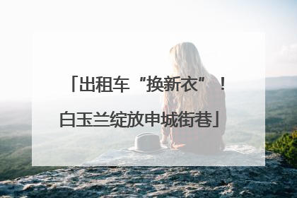 出租车“换新衣”！白玉兰绽放申城街巷