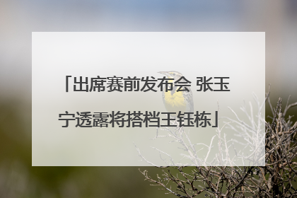 出席赛前发布会 张玉宁透露将搭档王钰栋