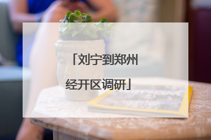 刘宁到郑州经开区调研