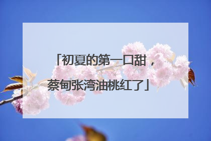 初夏的第一口甜，蔡甸张湾油桃红了