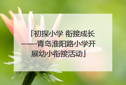 初探小学 衔接成长——青岛淮阳路小学开展幼小衔接活动