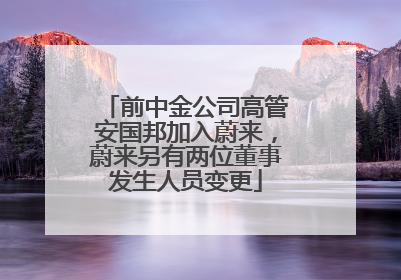 前中金公司高管安国邦加入蔚来，蔚来另有两位董事发生人员变更