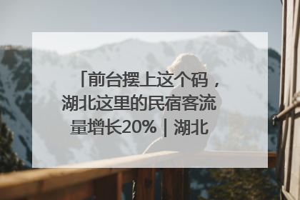 前台摆上这个码，湖北这里的民宿客流量增长20%｜湖北市场监管所的故事