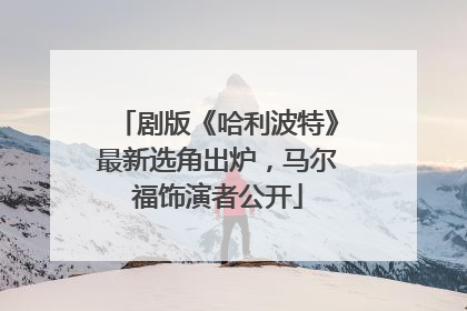 剧版《哈利波特》最新选角出炉，马尔福饰演者公开