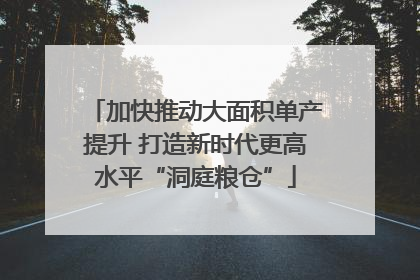 加快推动大面积单产提升 打造新时代更高水平“洞庭粮仓”