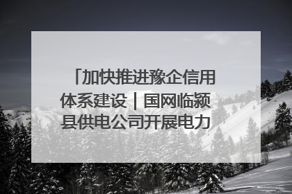 加快推进豫企信用体系建设｜国网临颍县供电公司开展电力行业信用企业现场咨询访谈工作