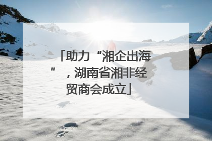 助力“湘企出海”，湖南省湘非经贸商会成立