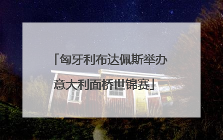 匈牙利布达佩斯举办意大利面桥世锦赛