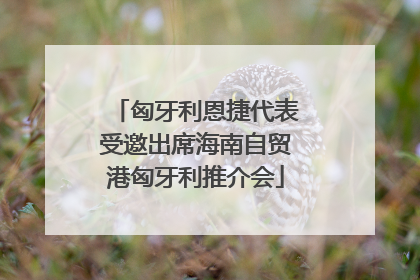 匈牙利恩捷代表受邀出席海南自贸港匈牙利推介会