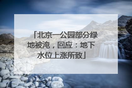 北京一公园部分绿地被淹，回应：地下水位上涨所致