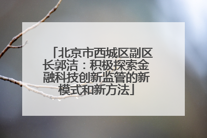 北京市西城区副区长郭洁：积极探索金融科技创新监管的新模式和新方法