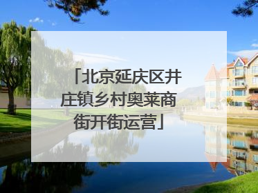 北京延庆区井庄镇乡村奥莱商街开街运营