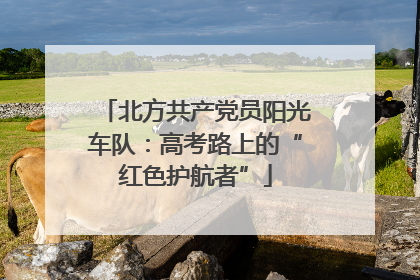 北方共产党员阳光车队：高考路上的“红色护航者”