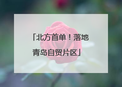 北方首单！落地青岛自贸片区