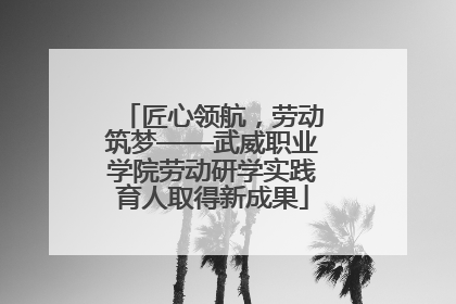 匠心领航，劳动筑梦——武威职业学院劳动研学实践育人取得新成果