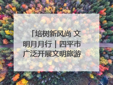 培树新风尚 文明月月行｜四平市广泛开展文明旅游主题实践活动