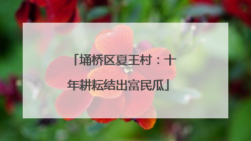 埇桥区夏王村：十年耕耘结出富民瓜
