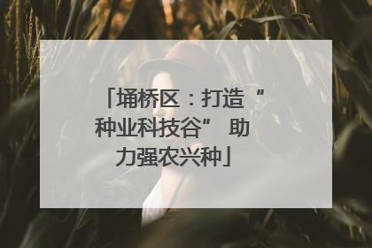 埇桥区：打造“种业科技谷” 助力强农兴种