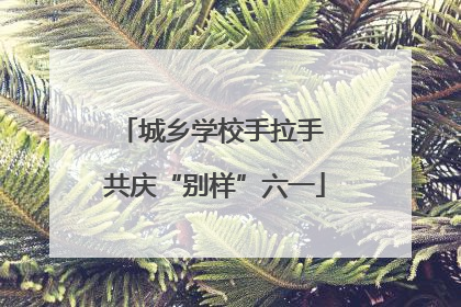 城乡学校手拉手 共庆“别样”六一