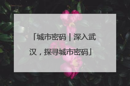 城市密码｜深入武汉，探寻城市密码