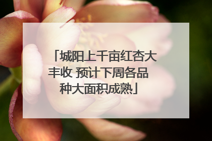 城阳上千亩红杏大丰收 预计下周各品种大面积成熟