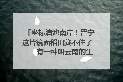 坐标滇池南岸！晋宁这片镜面稻田藏不住了——有一种叫云南的生活之365天