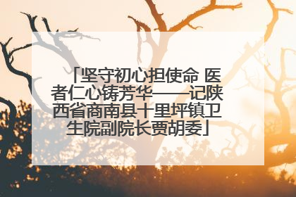 坚守初心担使命 医者仁心铸芳华——记陕西省商南县十里坪镇卫生院副院长贾胡委