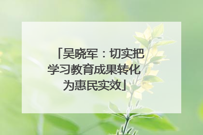 吴晓军：切实把学习教育成果转化为惠民实效