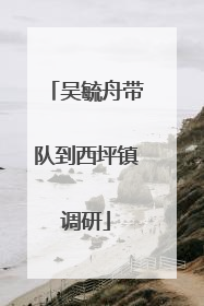 吴毓舟带队到西坪镇调研