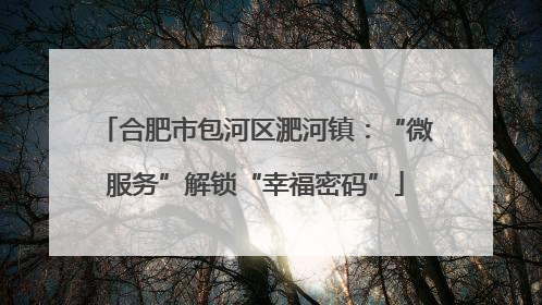 合肥市包河区淝河镇：“微服务”解锁“幸福密码”