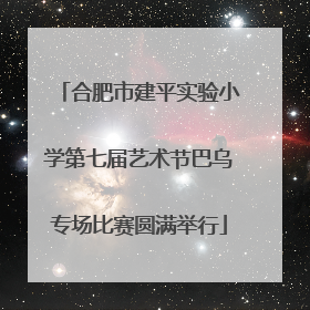 合肥市建平实验小学第七届艺术节巴乌专场比赛圆满举行