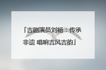 吉剧演员刘杨：传承非遗 唱响吉风吉韵