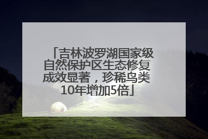 吉林波罗湖国家级自然保护区生态修复成效显著，珍稀鸟类10年增加5倍