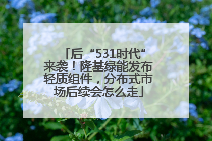 后“531时代”来袭！隆基绿能发布轻质组件，分布式市场后续会怎么走