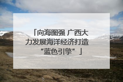 向海图强 广西大力发展海洋经济打造“蓝色引擎”