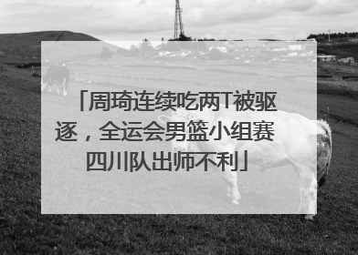周琦连续吃两T被驱逐，全运会男篮小组赛四川队出师不利